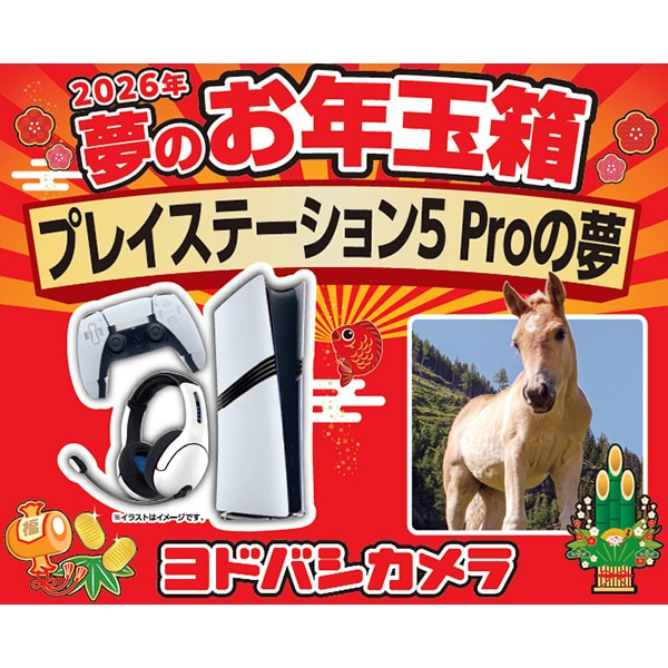 夢のお年玉箱2026 プレイステーション5 Proの夢